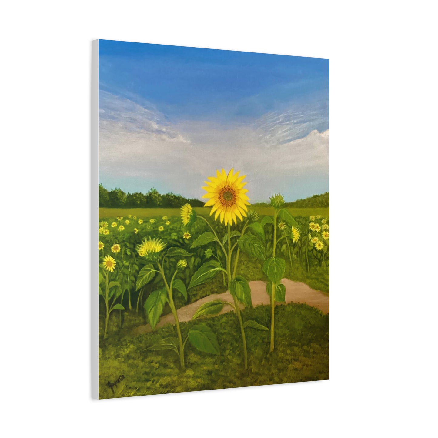 Resilient Sunflower- Canvas Art Print