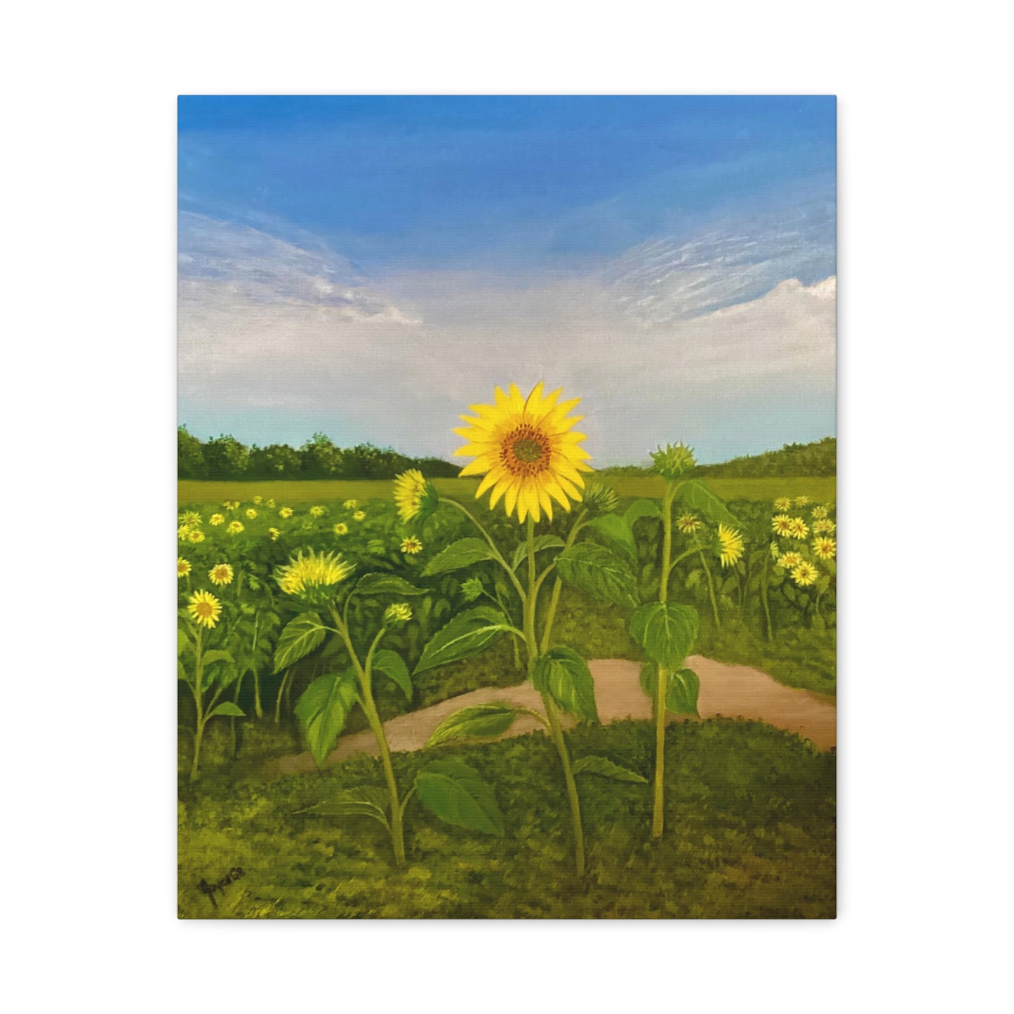 Resilient Sunflower- Canvas Art Print