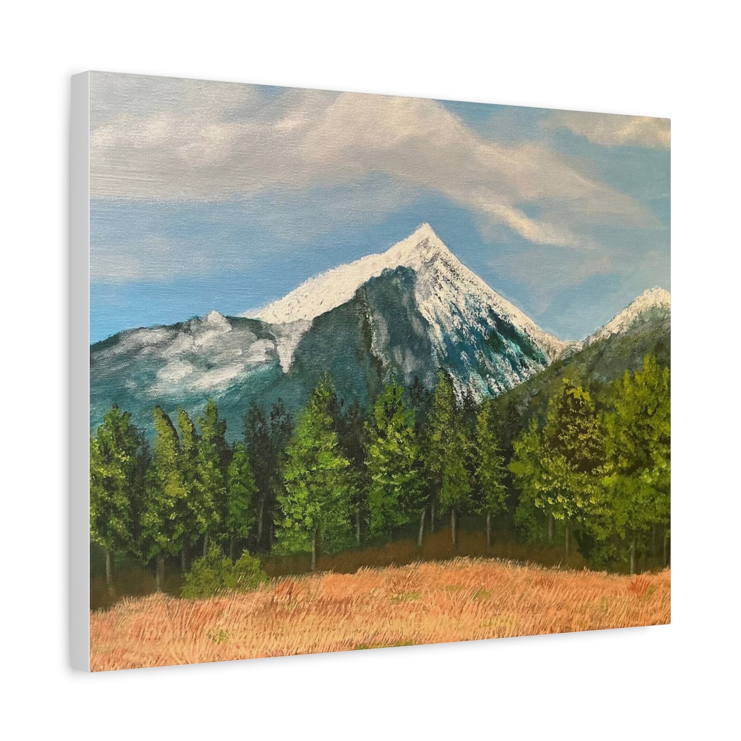 Arizona Snow: Canvas Painting Print of Snow-covered Arizona Landscape