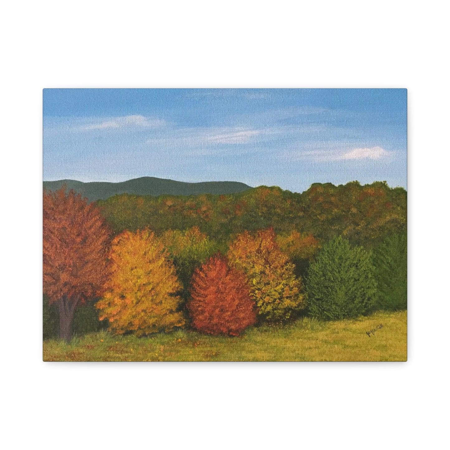 Autumn Leaves. Canvas Print