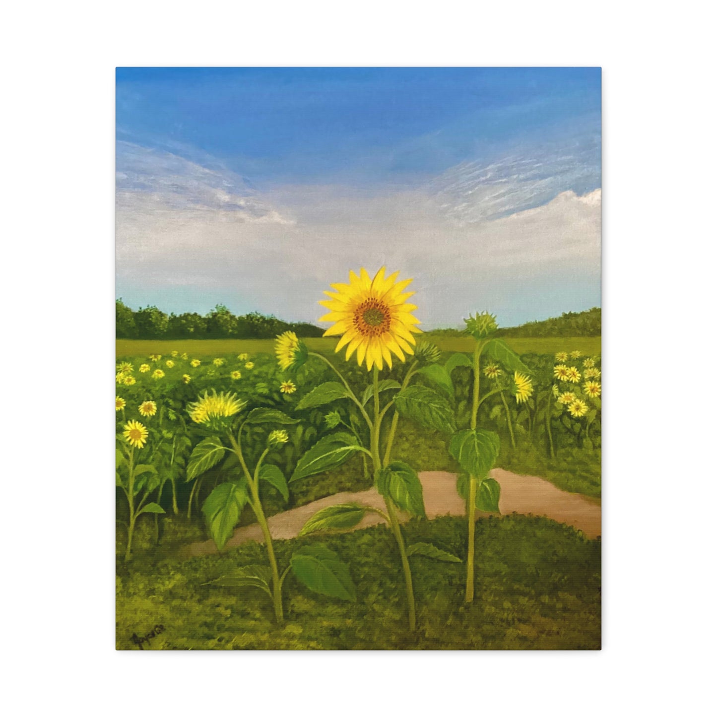 Resilient Sunflower- Canvas Art Print