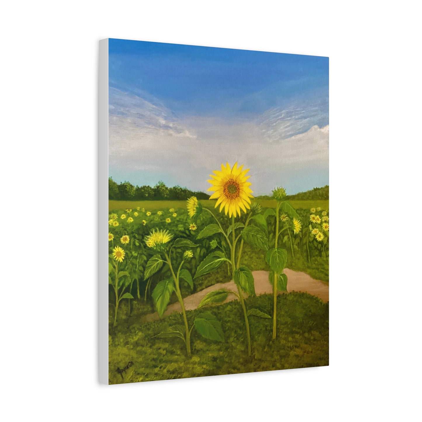 Resilient Sunflower- Canvas Art Print