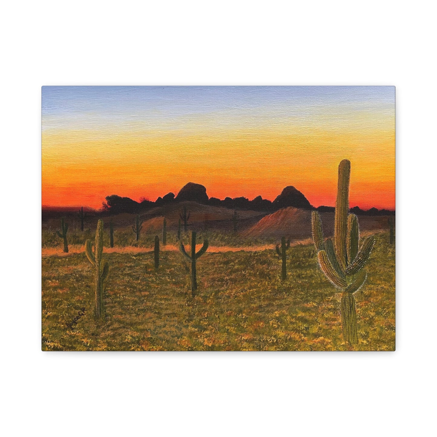 Sonoran Desert Sunset. Canvas Art Print