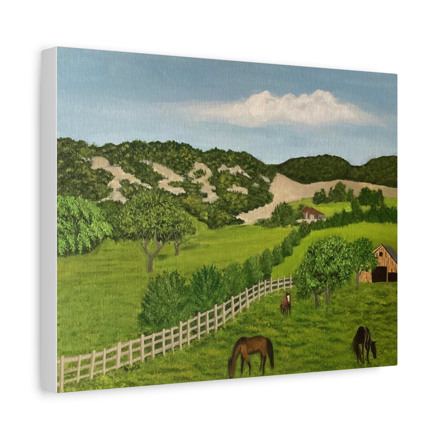 Hill Country Ranch. Canvas Art Print