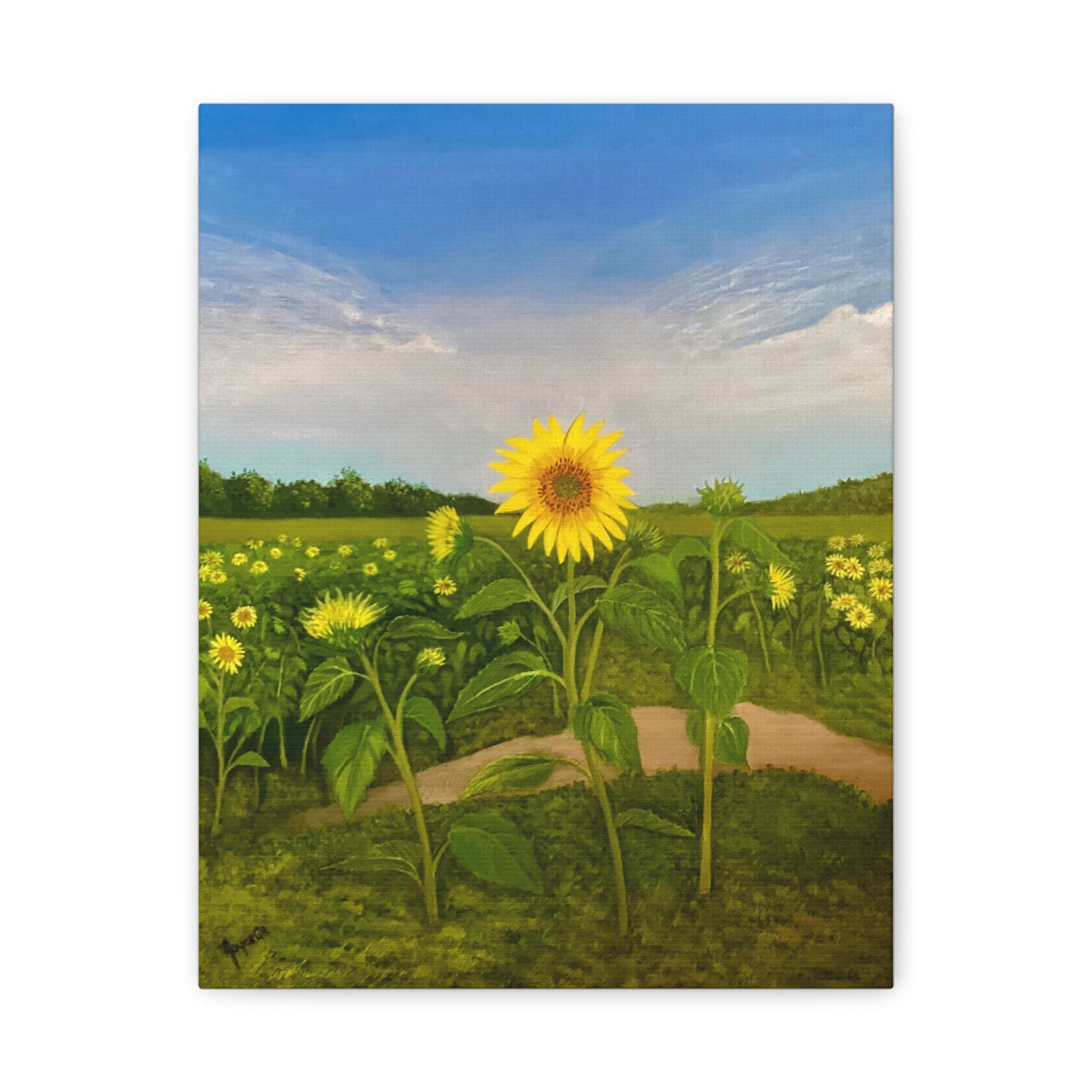 Resilient Sunflower- Canvas Art Print