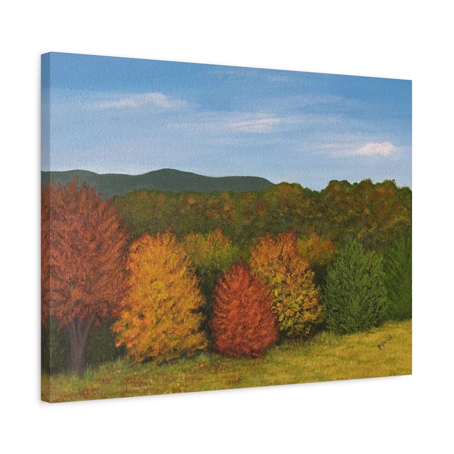 Autumn Leaves. Canvas Print