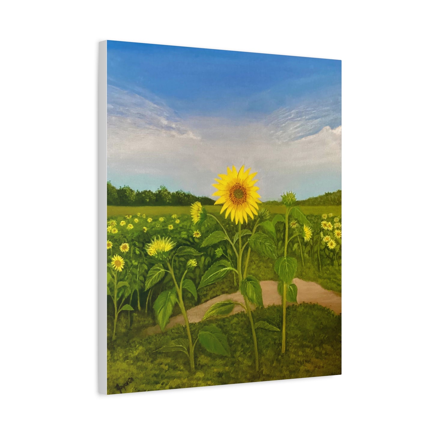 Resilient Sunflower- Canvas Art Print