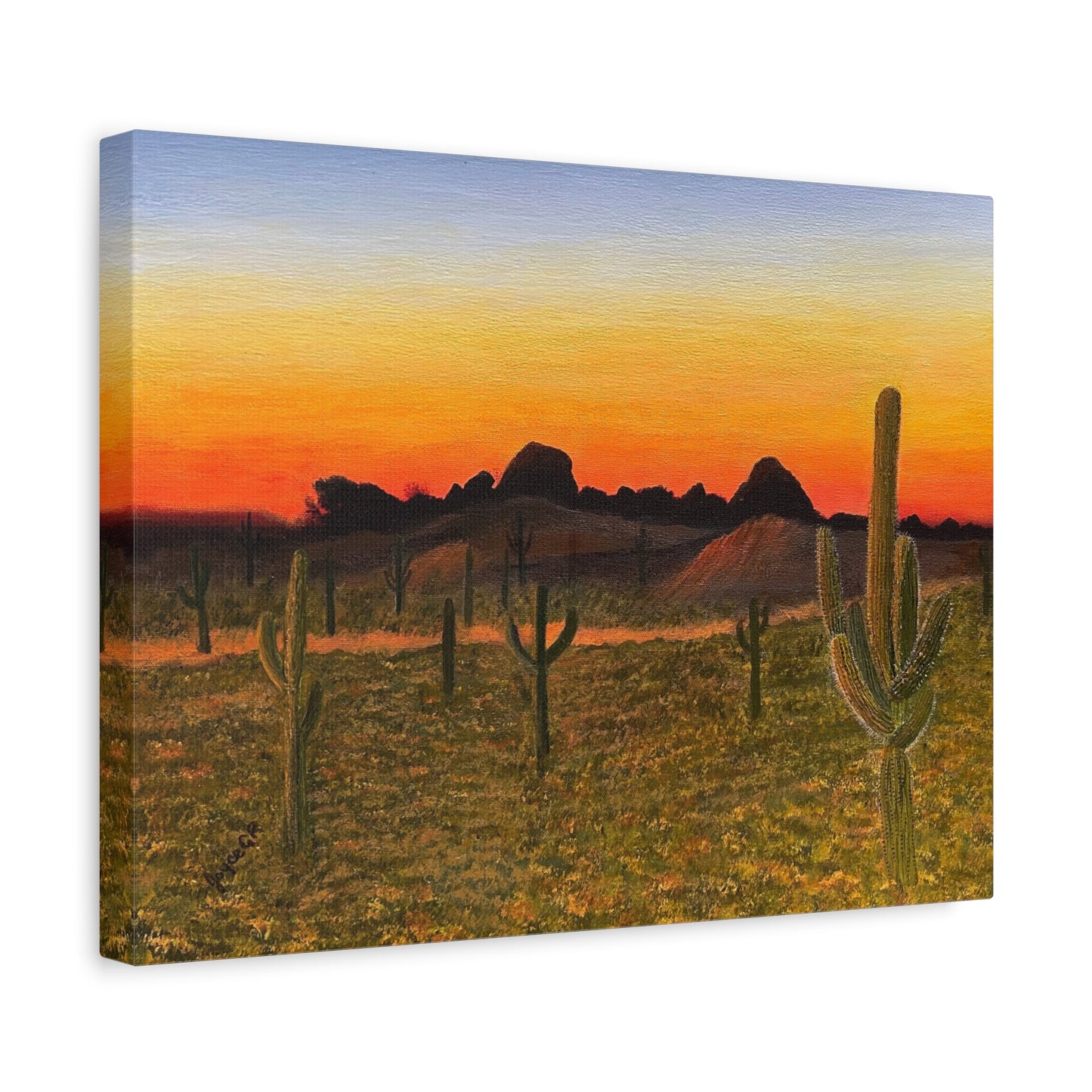 Sonoran Desert Sunset. Canvas Art Print