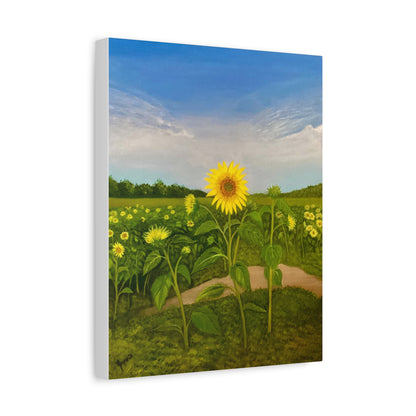 Resilient Sunflower-  Canvas Art Print