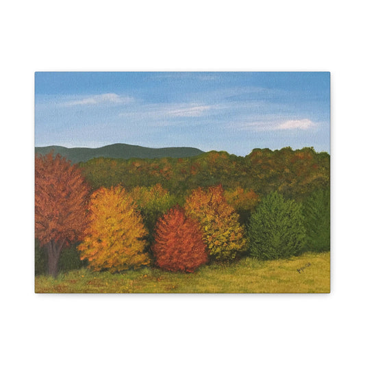 Autumn Leaves.   Canvas Print