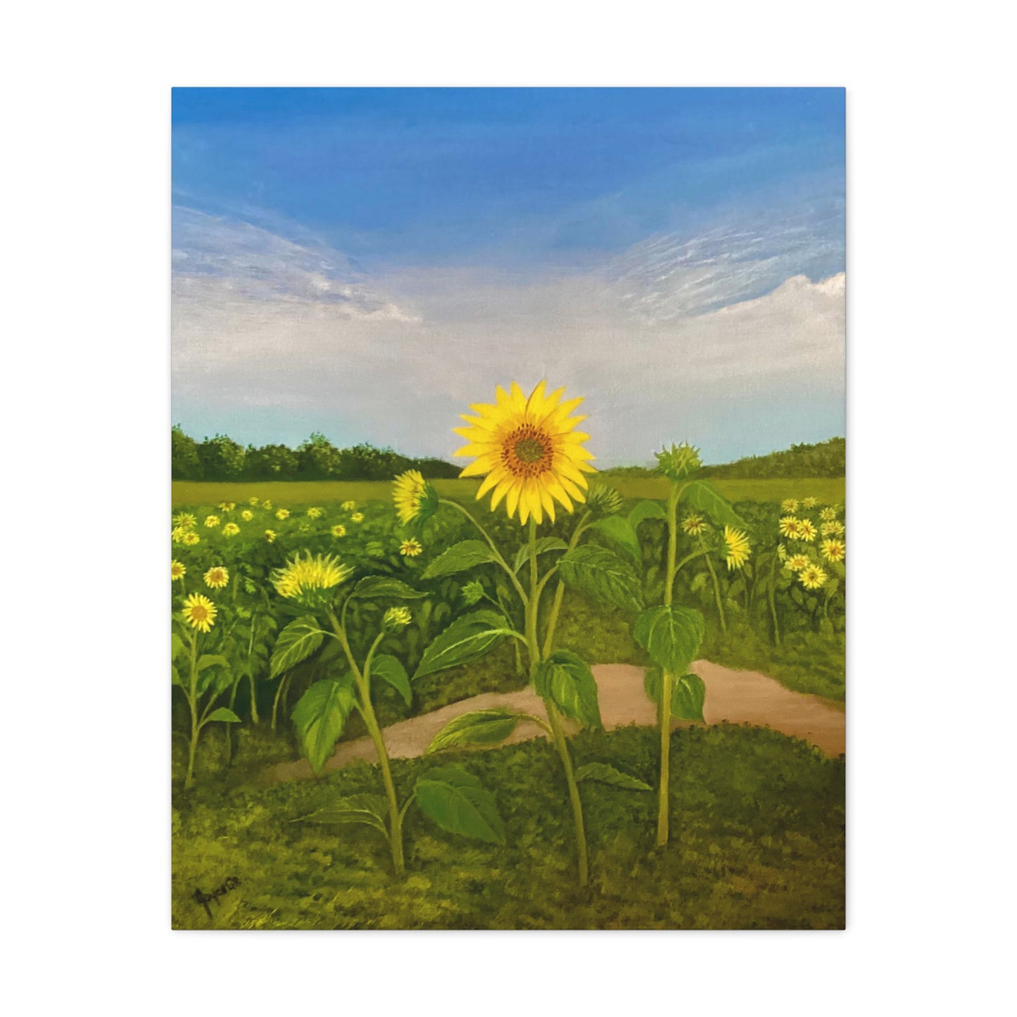 Resilient Sunflower-  Canvas Art Print