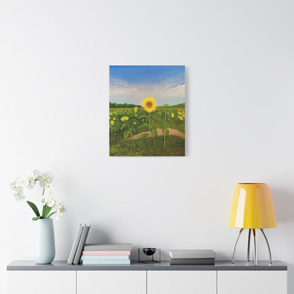 Resilient Sunflower-  Canvas Art Print