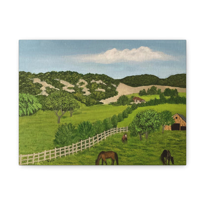 Hill Country  Ranch. Canvas Art Print