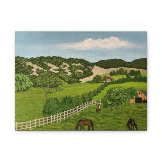 Hill Country  Ranch. Canvas Art Print